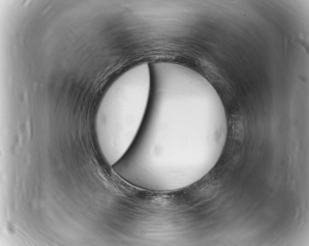 X0000100210550200805300728