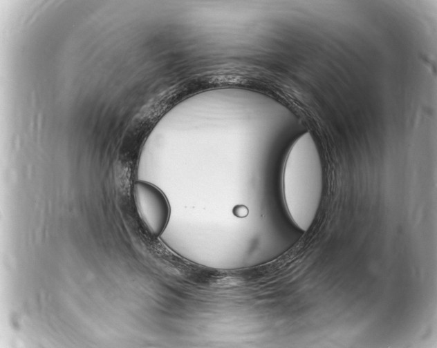 X0000100210551200805300728