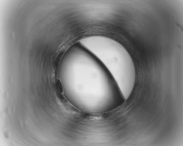 X0000100210552200805300728