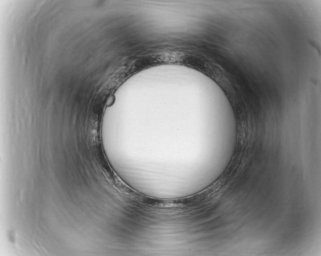 X0000100210553200805300728