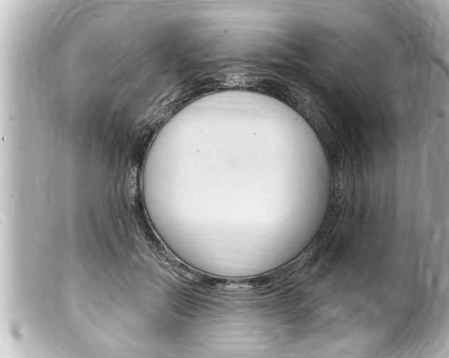 X0000100210554200805300728