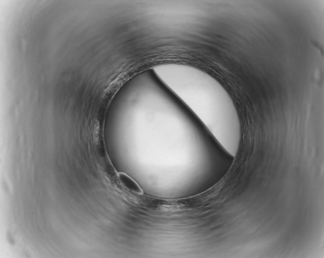 X0000100210556200805300728