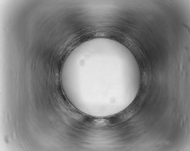 X0000100210557200805300728