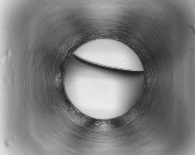 X0000100210559200805300728
