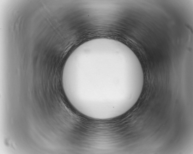 X0000100210560200805300728