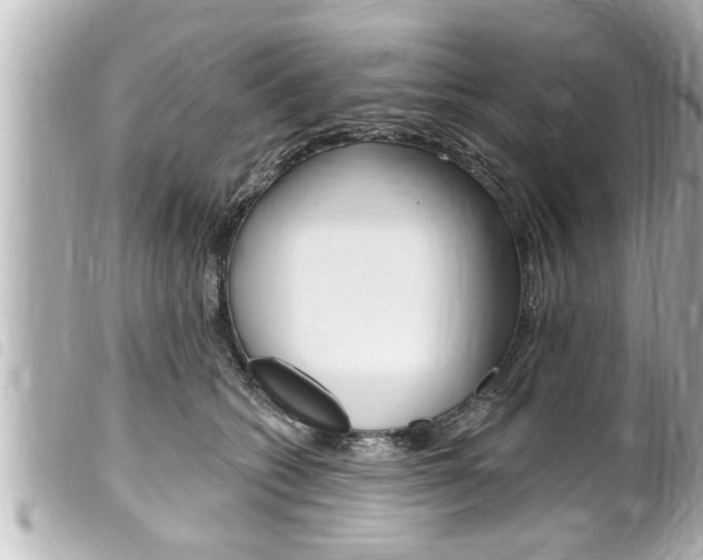 X0000100210562200805300728