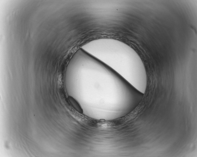 X0000100210564200805300728