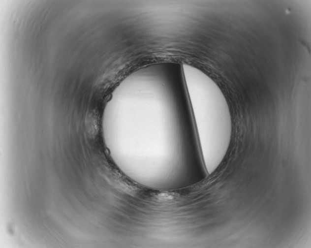 X0000100210566200805300728