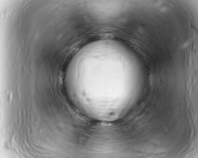X0000100210570200805300728