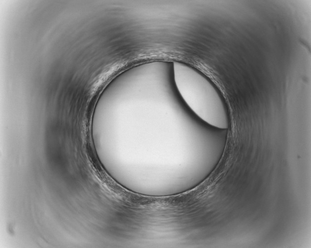 X0000100210578200805300728
