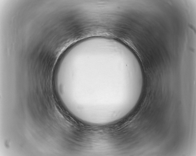 X0000100210579200805300728