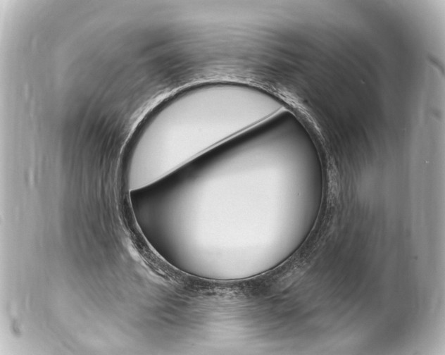X0000100210580200805300728