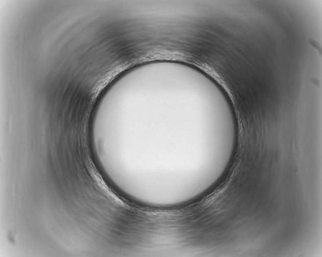 X0000100210581200805300728