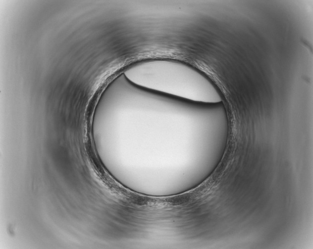 X0000100210582200805300728