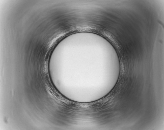 X0000100210583200805300728
