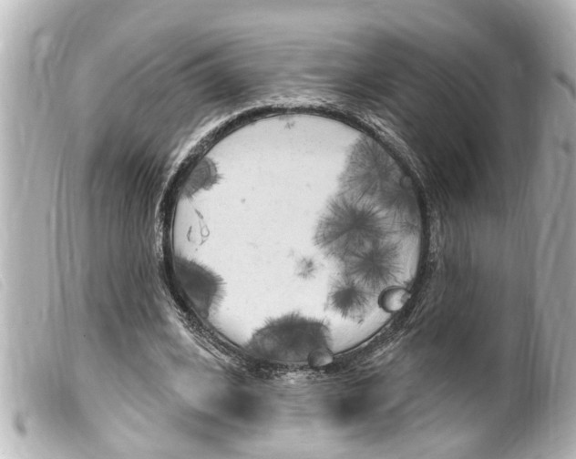 X0000100210584200805300727