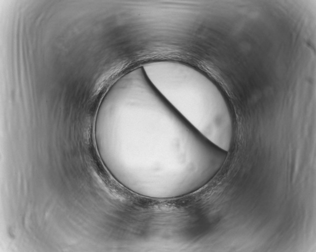 X0000100210586200805300727