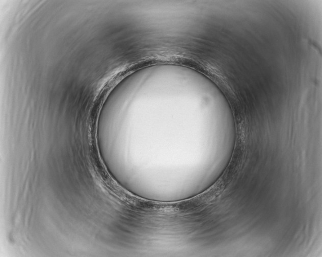 X0000100210587200805300727
