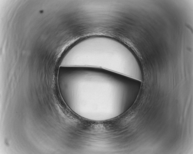 X0000100210588200805300727