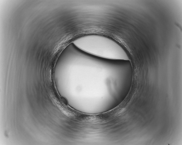 X0000100210589200805300727