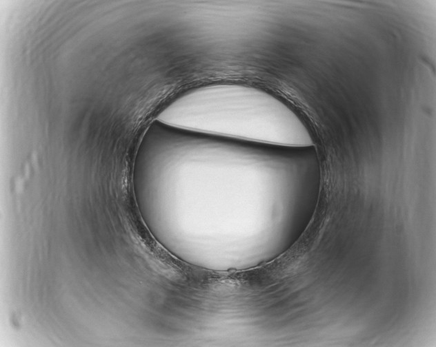 X0000100210593200805300727
