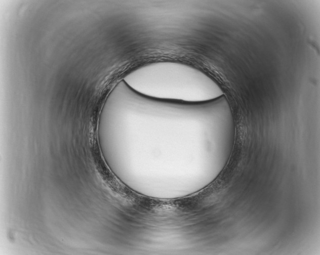 X0000100210594200805300727