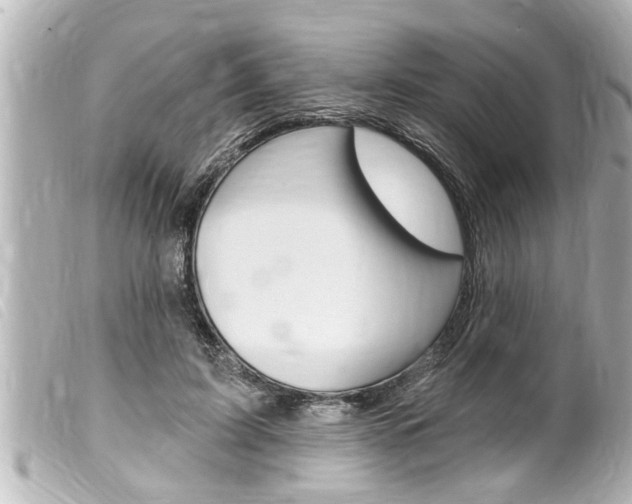 X0000100210595200805300727