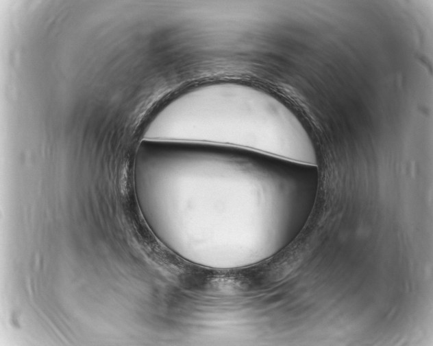 X0000100210596200805300727
