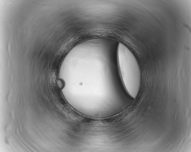 X0000100210597200805300727