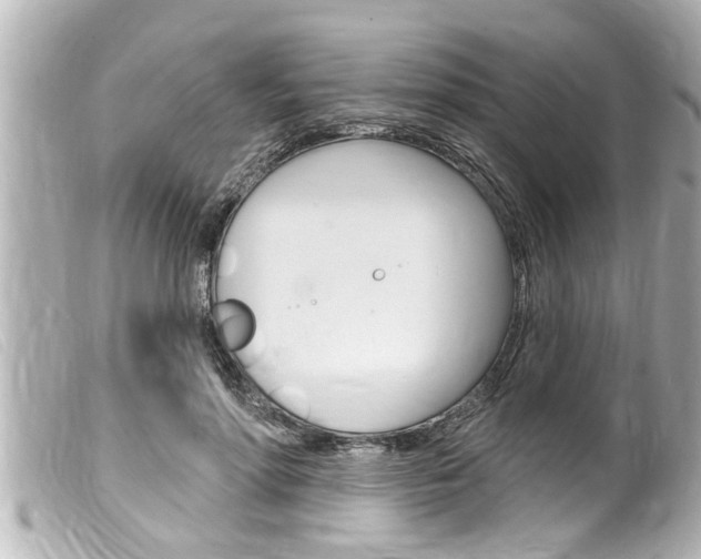 X0000100210598200805300727
