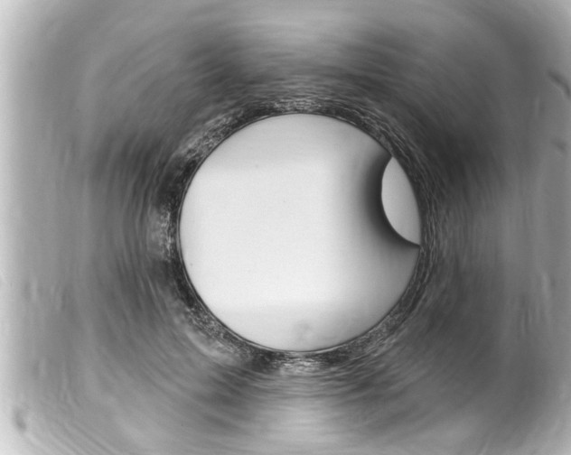X0000100210599200805300727