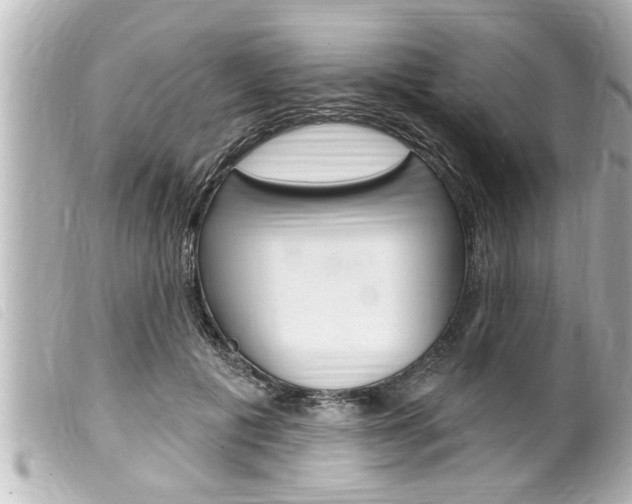 X0000100210601200805300727
