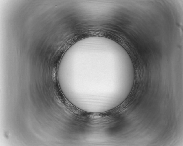 X0000100210602200805300727