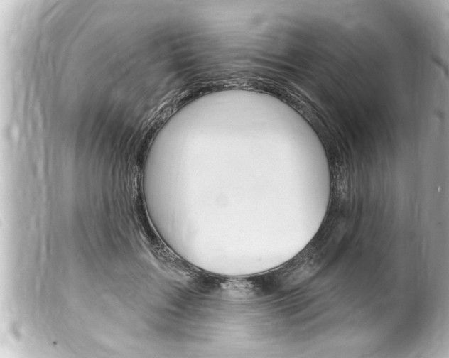 X0000100210603200805300727