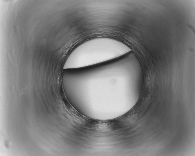 X0000100210604200805300727