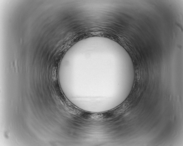 X0000100210606200805300727