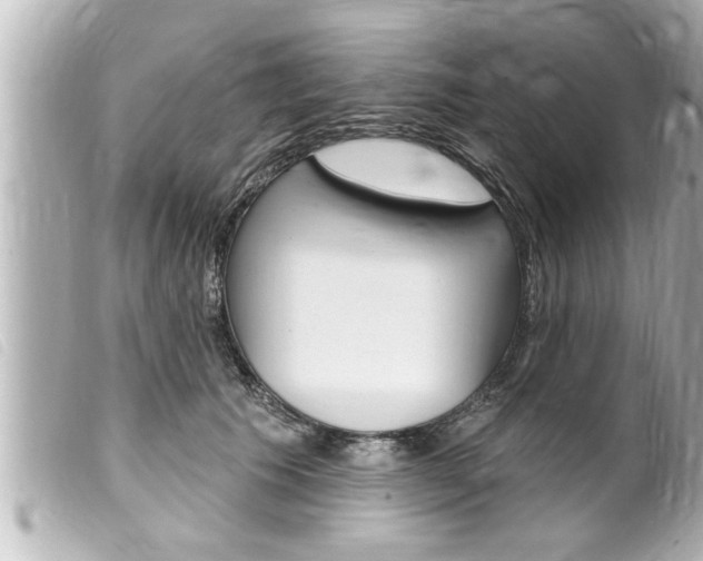 X0000100210609200805300727
