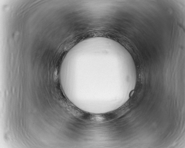 X0000100210610200805300727