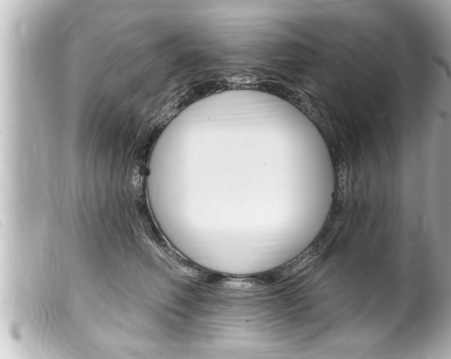 X0000100210614200805300727