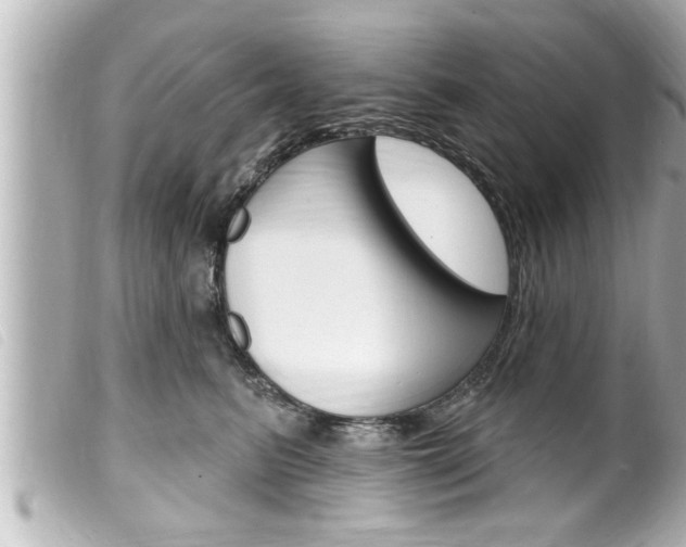 X0000100210615200805300727