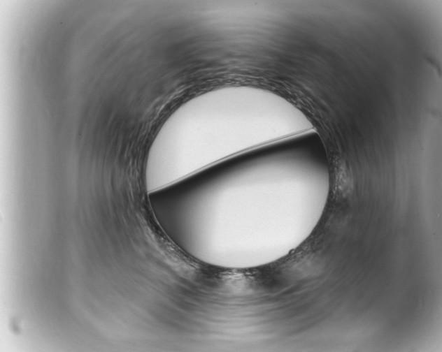 X0000100210616200805300727