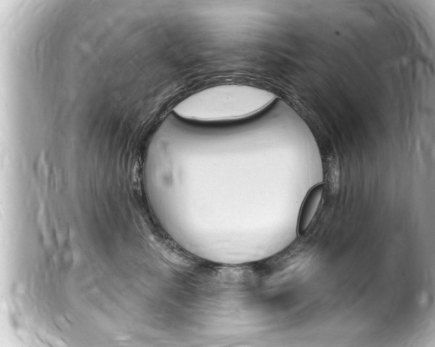 X0000100210619200805300727