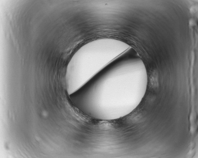X0000100210620200805300727