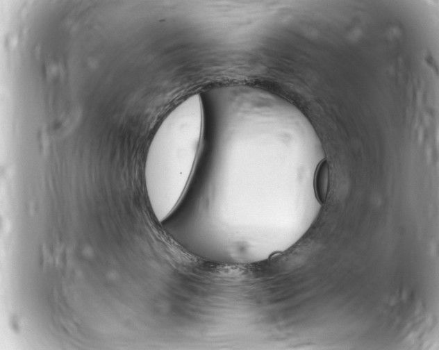 X0000100210624200805300727
