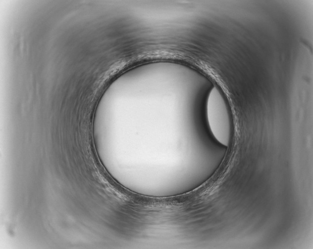 X0000100210625200805300726