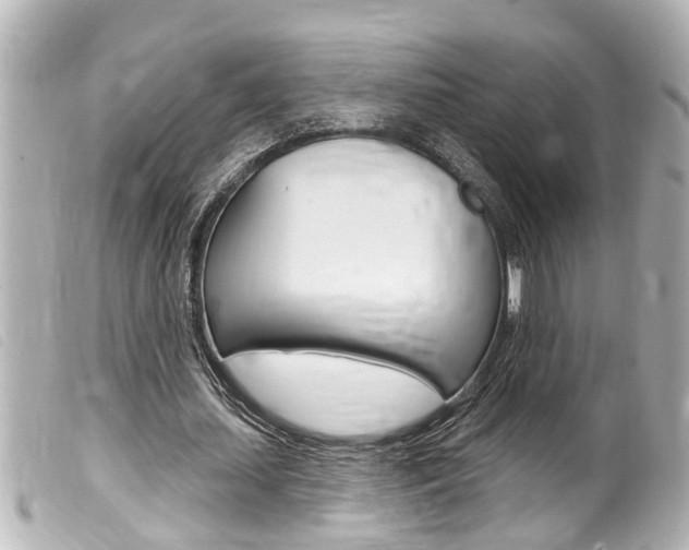 X0000100210627200805300726