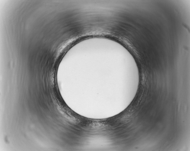 X0000100210632200805300726