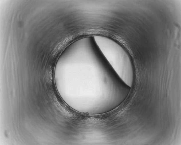 X0000100210633200805300726