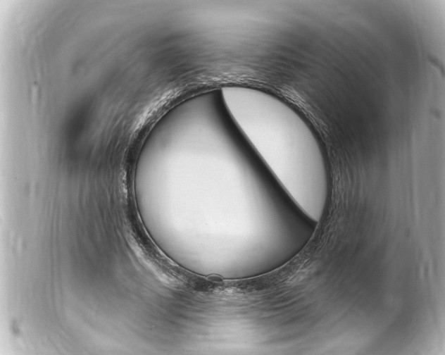 X0000100210634200805300726