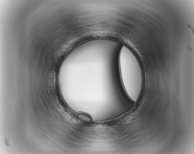X0000100210637200805300726